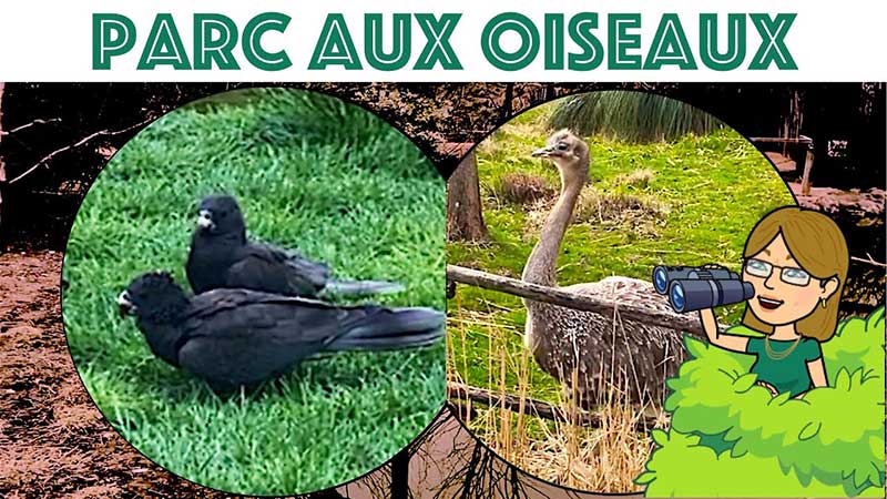 Parcs des Oiseaux de Villars les Dombes